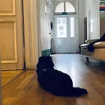 Black Dog Albergue