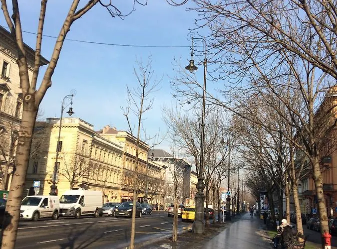 אכסניה Black Dog *