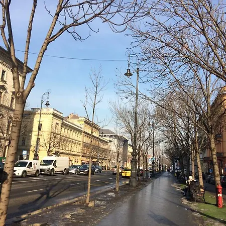 旅馆 黑狗旅舍 *