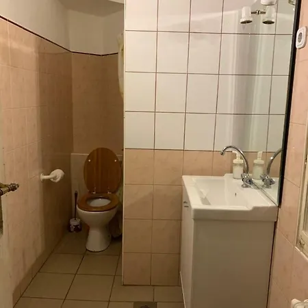 黑狗旅舍 旅馆 *