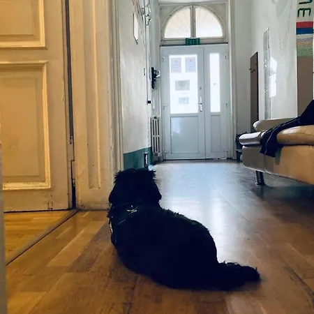 Black Dog Vandrarhem