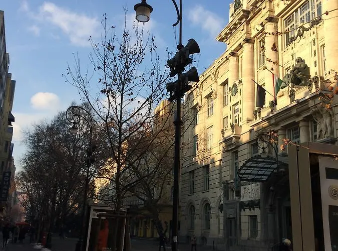 Black Dog * Budapest